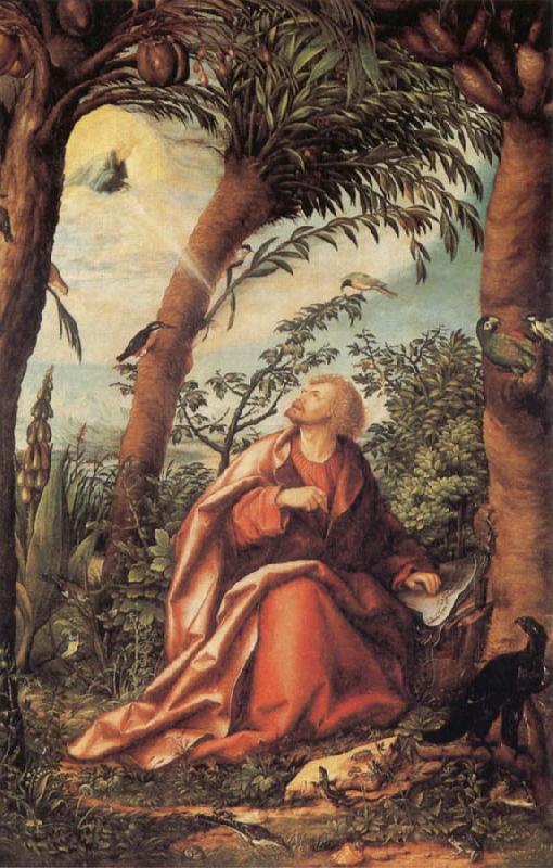 BURGKMAIR, Hans John the Evangelist on Patmos